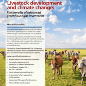 A new publication provides guidance and support on how to set up credible and affordable greenhouse gas&nbsp;inventories