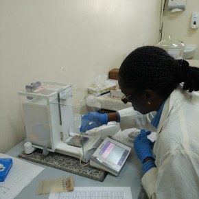 Voices from the lab: A research fellow shares her experience at the Mazingira&nbsp;Centre