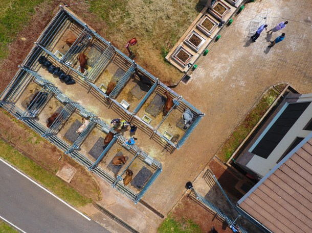 20160606 Kenya DJI PHOTOS-0036.jpg