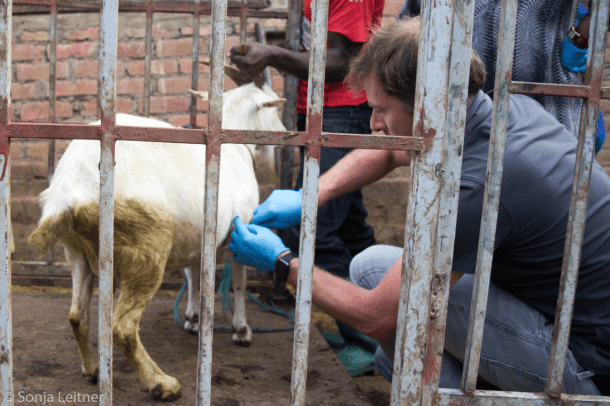 Picture8_LW determination