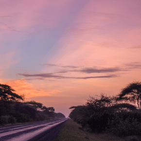 Voices from the lab: Postdoctoral researcher shares her first field trip&nbsp;experience