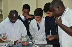 Managing the environmental footprint of livestock: Context-specific information needed in&nbsp;Africa