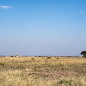 First continuous greenhouse gas measurements and validation of satellite derived land surface temperature estimates in East African&nbsp;drylands