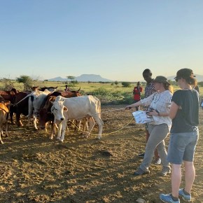 Where does the methane in the atmosphere come&nbsp;from?