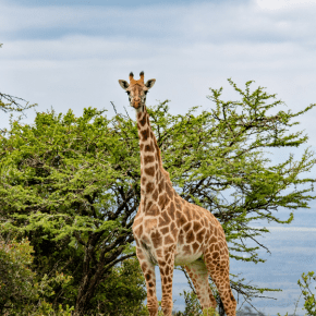 A field visit to support climate-smart sustainable agro-pastoralism in East&nbsp;Africa