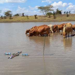 Environmental externalities and greenhouse gas emissions from water pans and bomas in pastoral systems